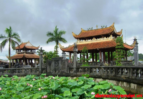 Diệt mối tận gốc tại thái bình 0905 400 796